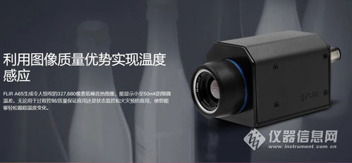 flir a65红外温度传感器